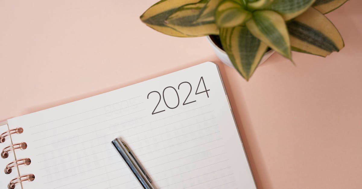 A simple 2024 planner with a pen on a peach background beside a potted plant, perfect for organization and planning.